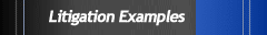 Litigation Examples